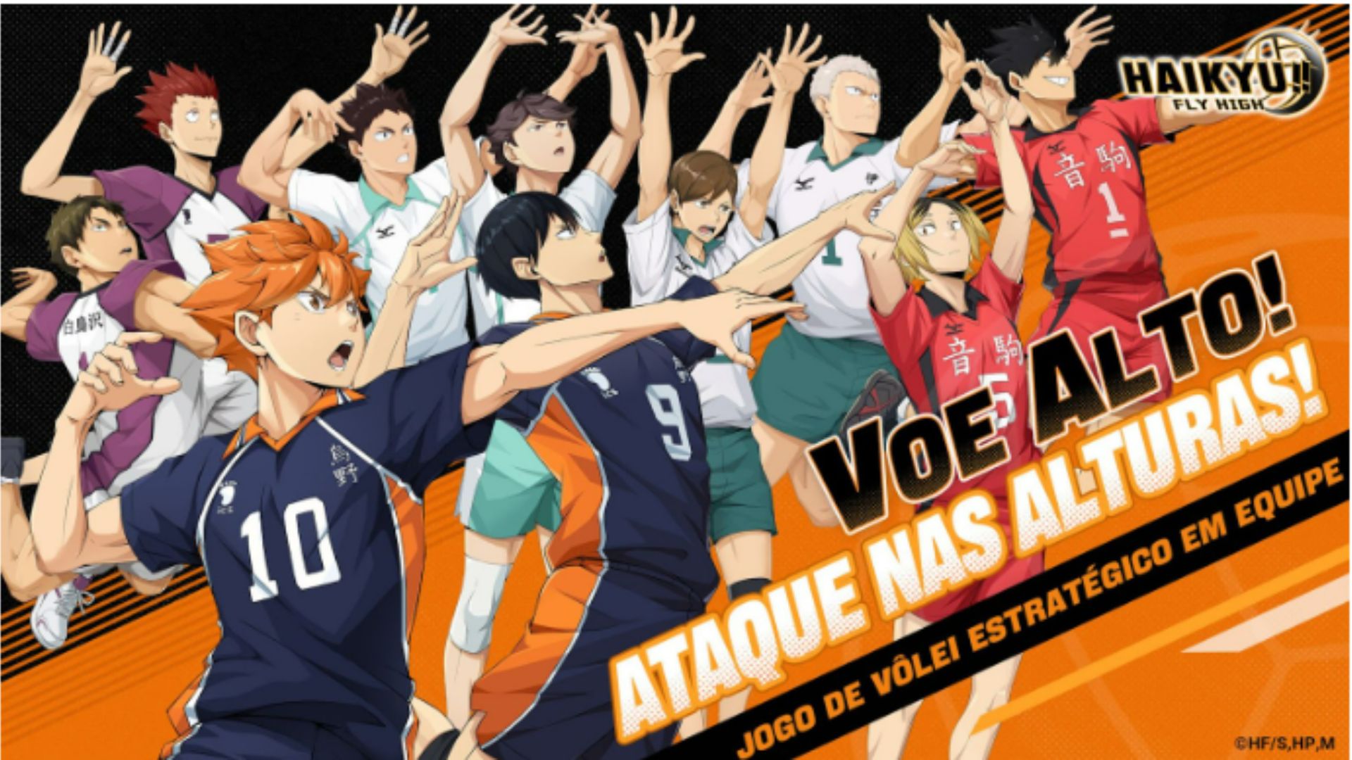 HAIKYU!! FLY HIGH