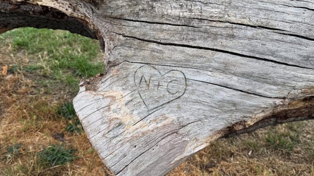 Agora é oficial, a história de Heartstopper chegou ao fim