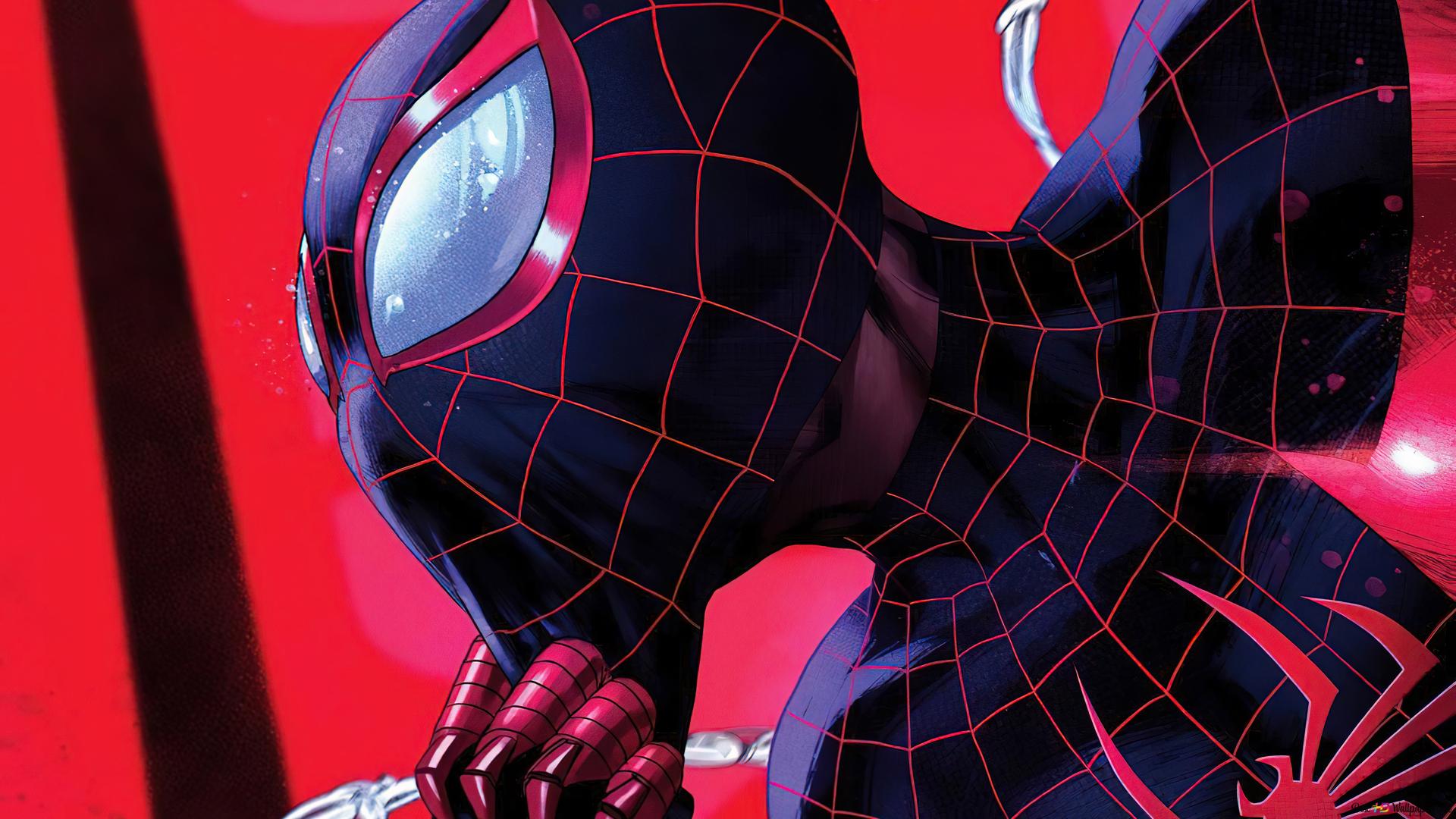 Miles Morales não entrará no MCU tão cedo