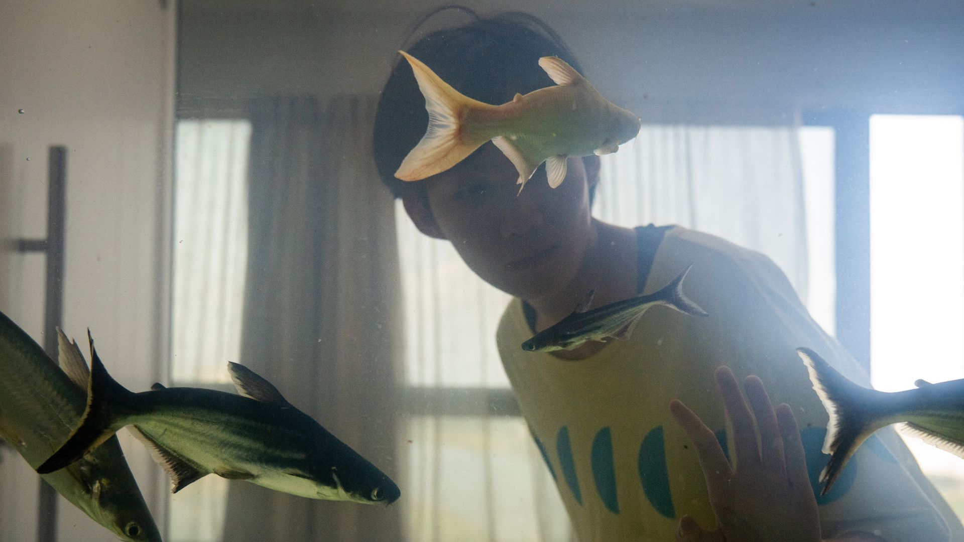 Dormir de Olhos Abertos