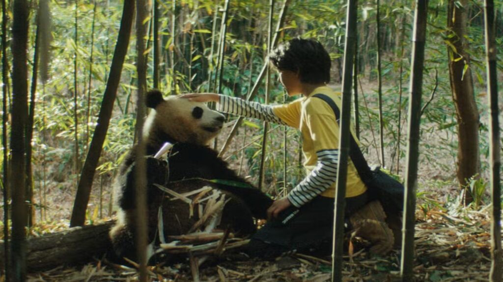 O Menino e o Panda: a nova aventura fofa que chega aos cinemas