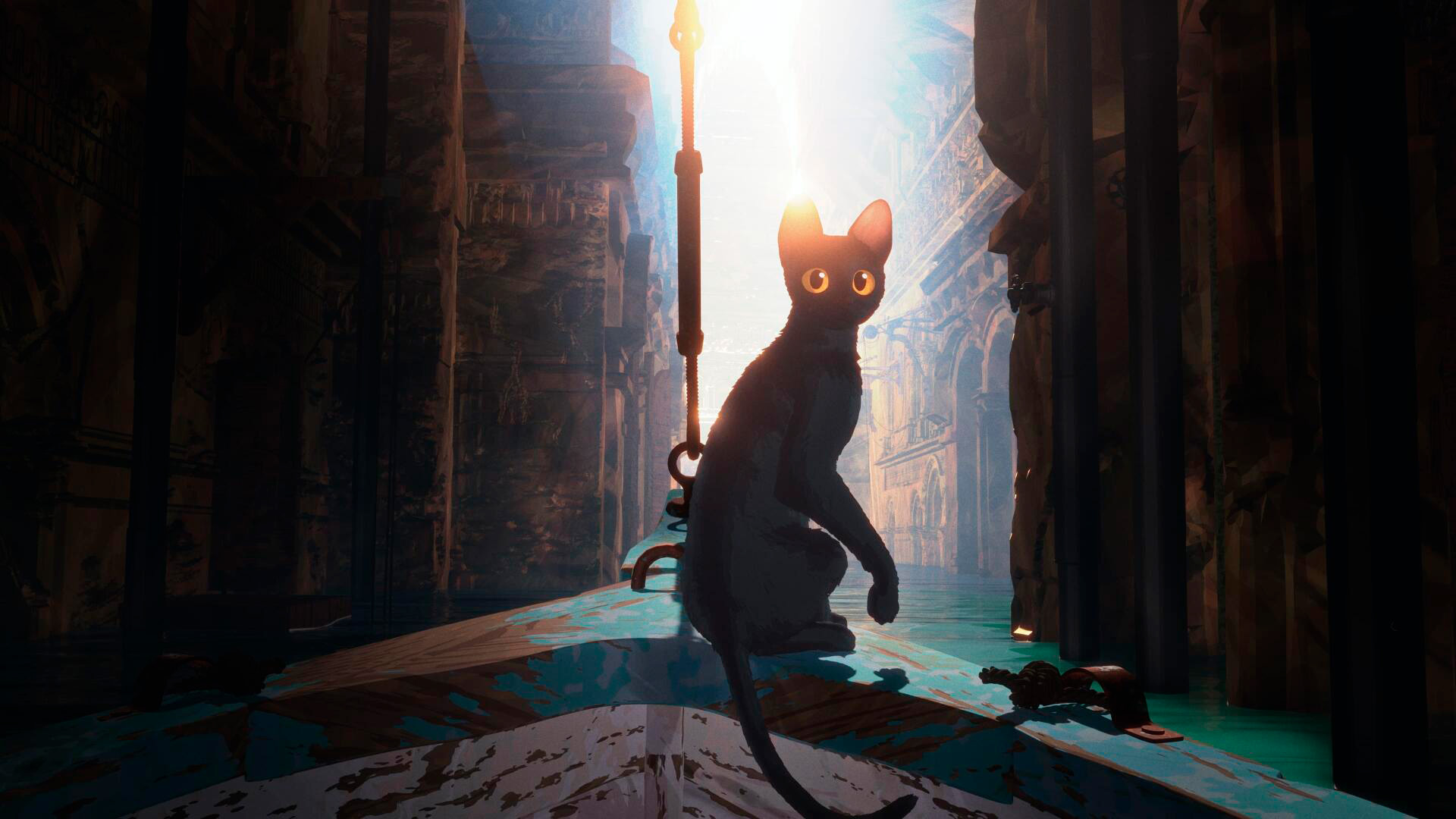 1 - Gatinho Flow 1920x1080