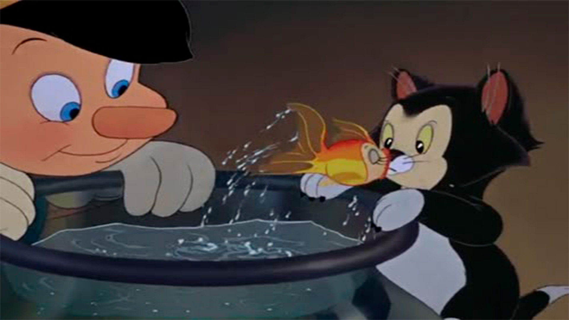 14 - Figaro 1920x1080