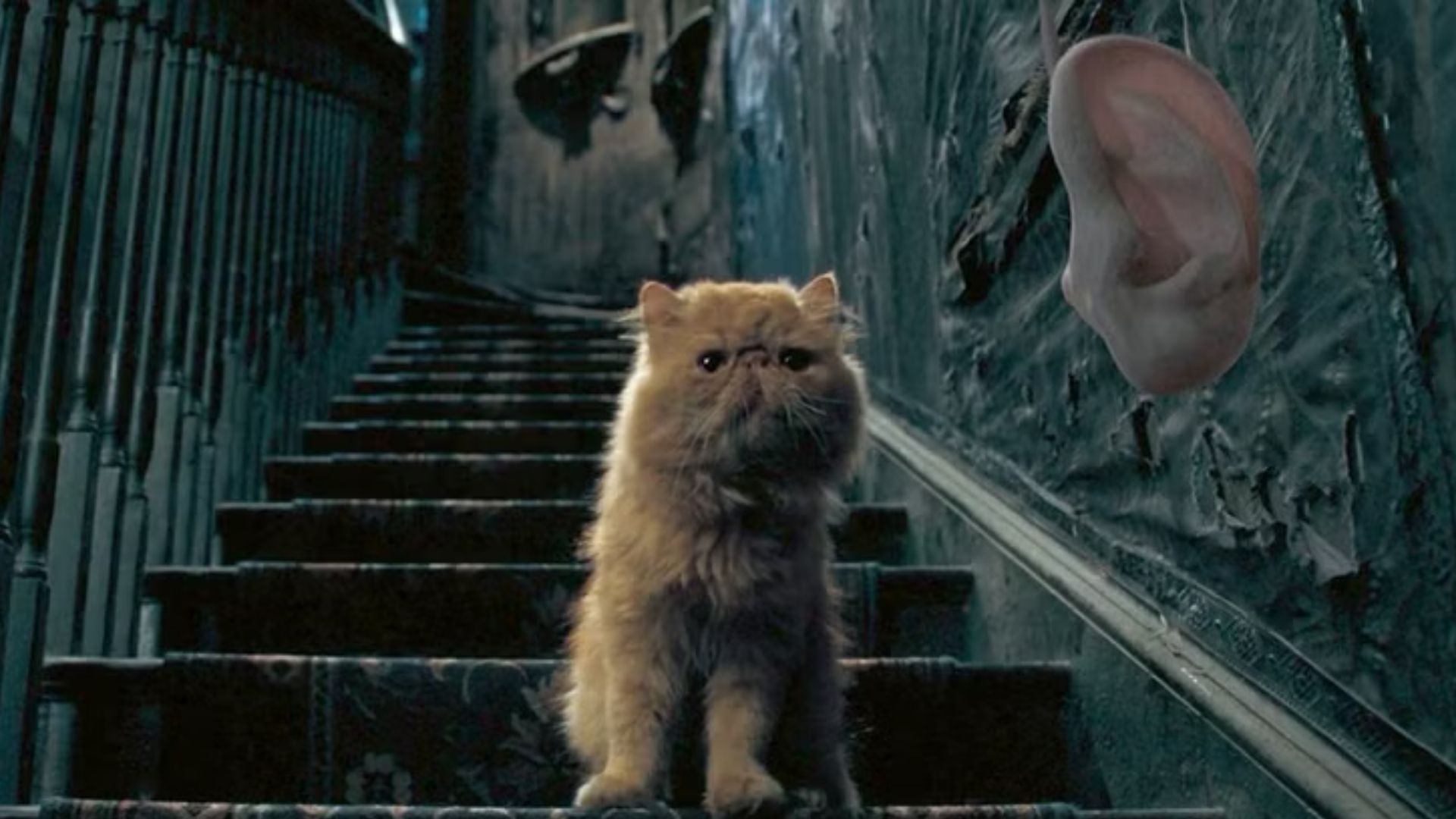 Bichento, gato de Harry Potter