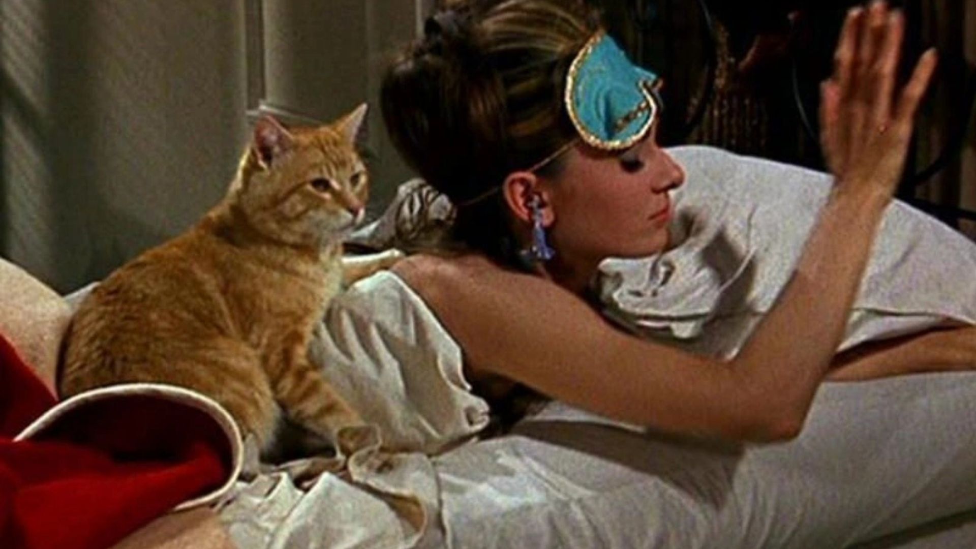 Cat, gato de Bonequinha de Luxo