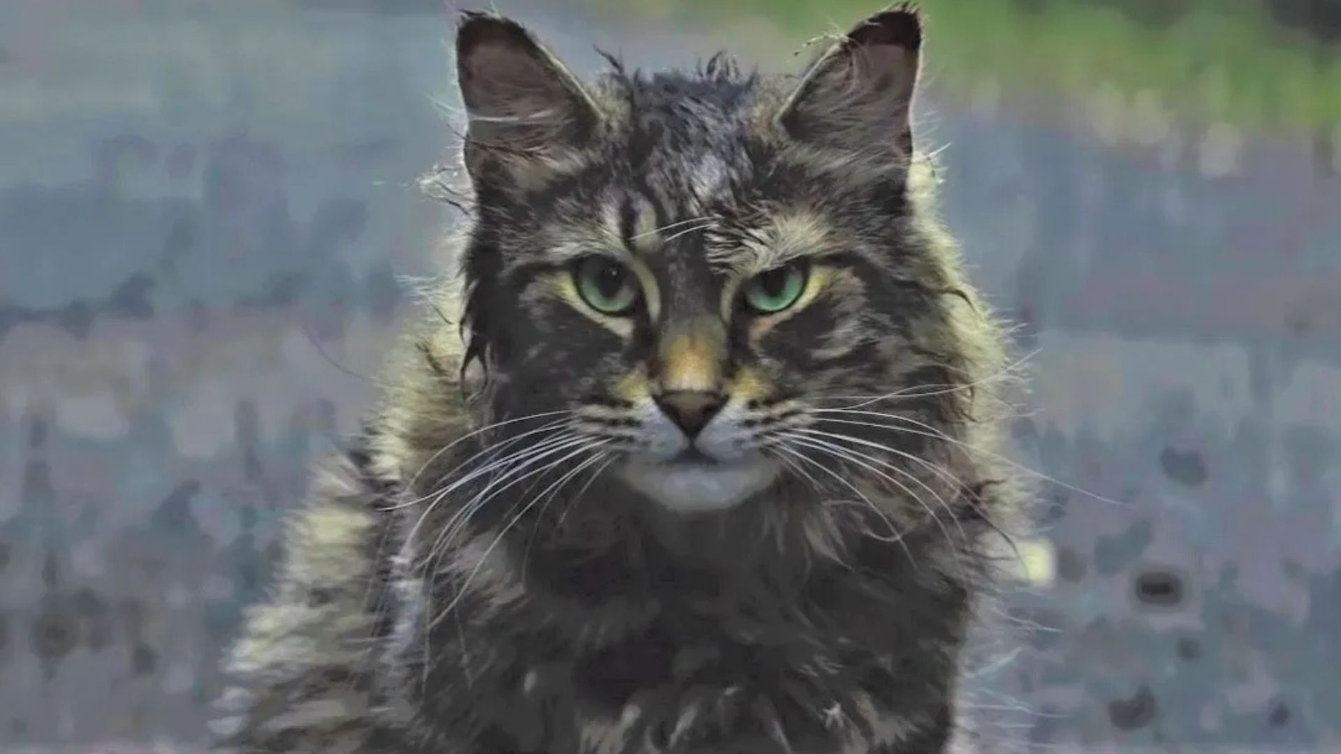 Church, gato de Cemitério Maldito
