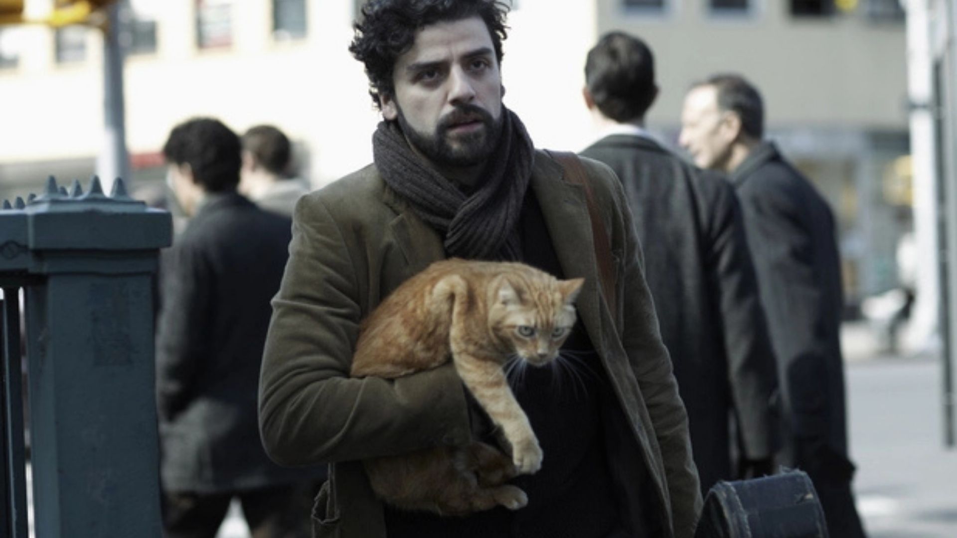 Ulysses, gato de Inside Llewyn Davis Balada de um Homem Comum