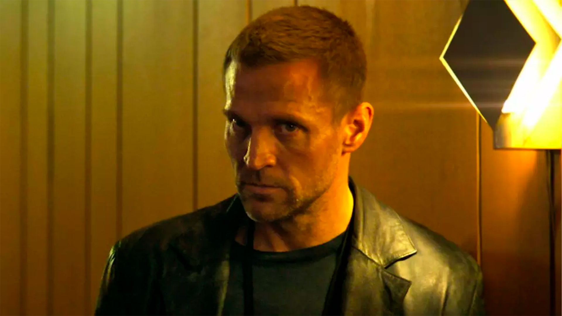 Os Casos de Harry Hole