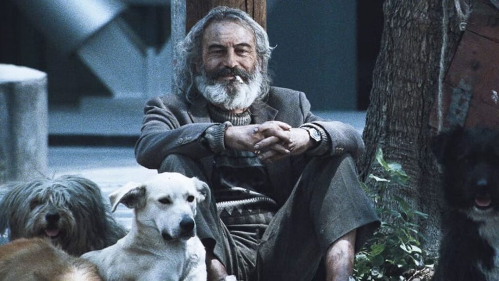 Amores Perros vai virar série, a história por trás do clássico mexicano ganha um novo capítulo