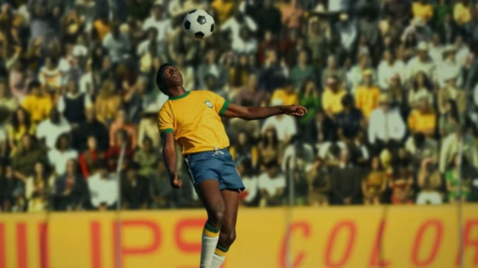 brasil 70 a saga do tri