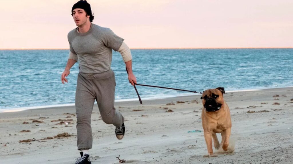 Eu Sou o Rocky: Diamond Films lança trailer com  Anthony Ippolito como Sylvester Stallone