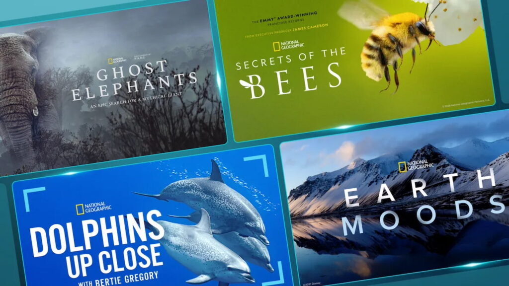 National Geographic no Disney+: Tubarões, vulcões e muito mais