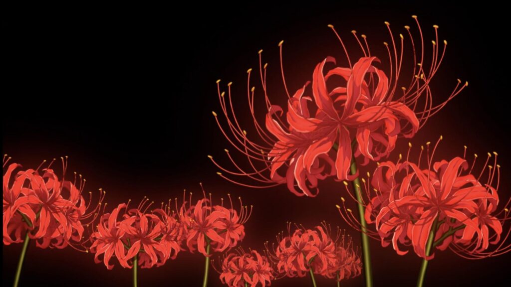Spider Lily: por que essa flor aparece tanto nos animes?