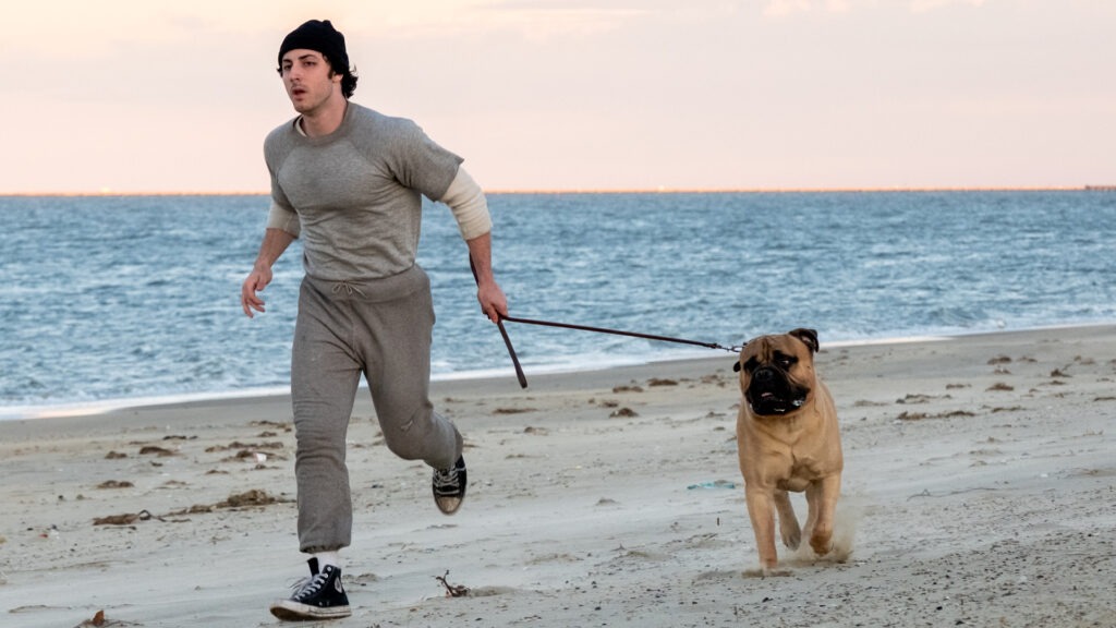 Eu Sou o Rocky ganha novo pôster e estreia em novembro nos cinemas